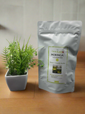 Moringa leaf and honey bush tea